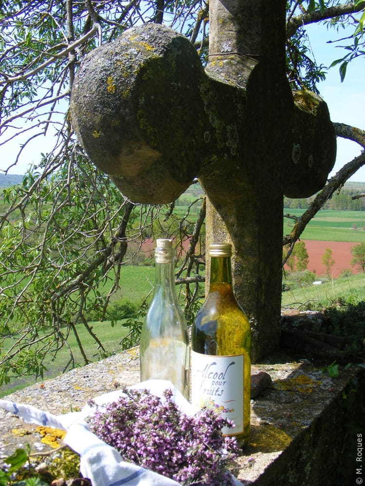 découvrez notre recette secrète de liqueur au thym, mélisse et cardamome pour un apéritif unique aux arômes subtils et rafraîchissants.