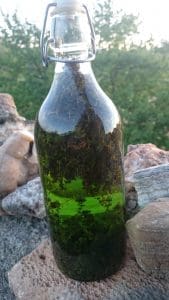 découvrez la recette secrète et originale de liqueur maison au thym, mélisse et cardamome, parfaite pour surprendre vos invités avec des saveurs aromatiques uniques.