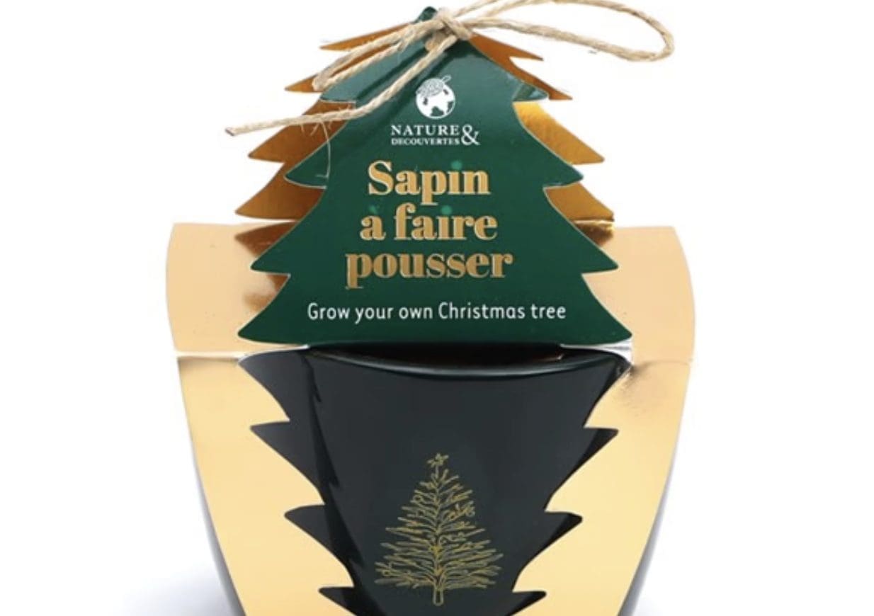 découvrez des idées originales et amusantes pour organiser un secret santa unique et mémorable pour noël 2025. surprise et convivialité garanties !