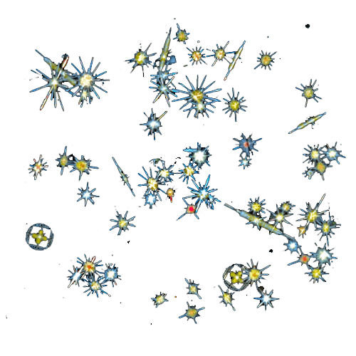 découvrez les mystères fascinants du plancton à travers les images captivantes des droners, explorant les écosystèmes marins invisibles à l'œil nu.