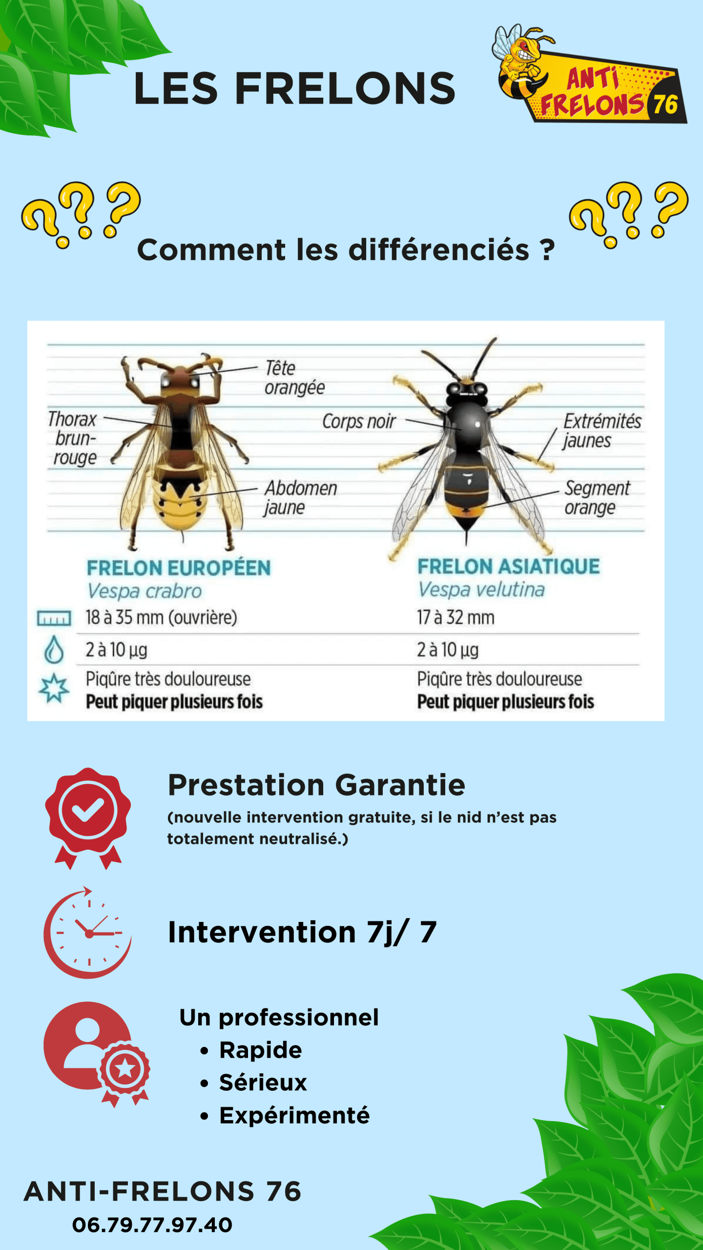 découvrez la formule anti-frelons d'un village breton, une solution traditionnelle et efficace pour protéger votre environnement des nuisibles.