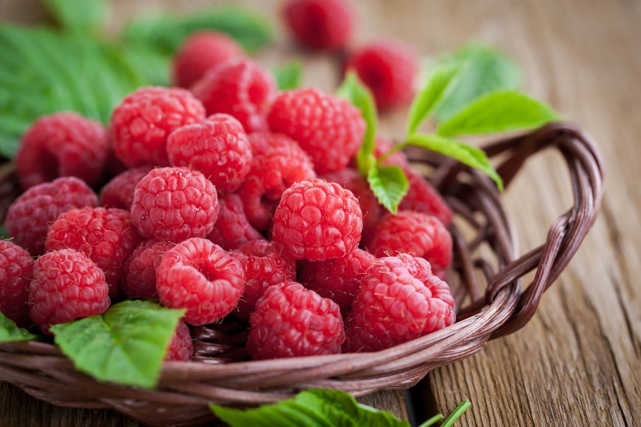 découvrez comment un fruit crémeux délicieux peut contribuer à la santé de vos artères grâce à ses bienfaits nutritionnels exceptionnels.