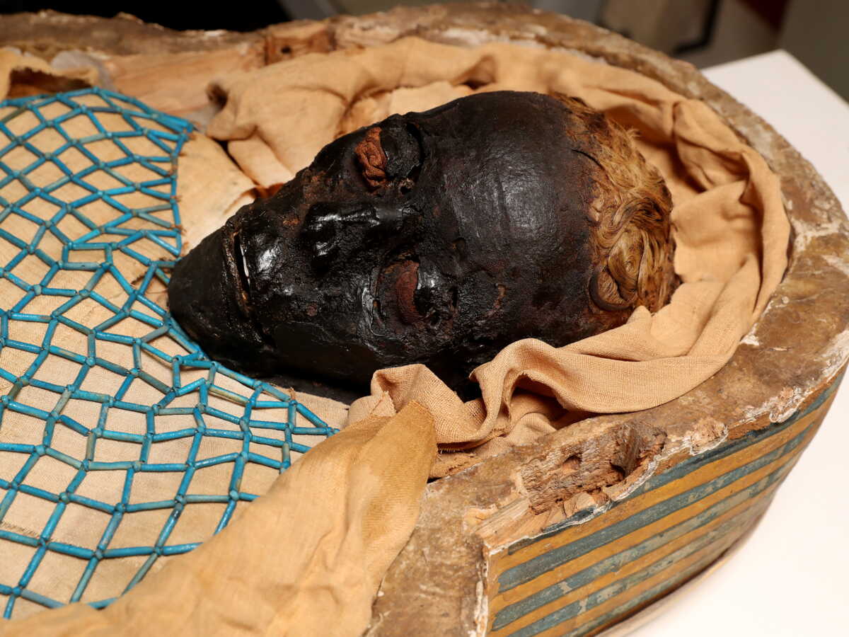 découvrez le mystère ancien de la momie verte, une énigme fascinante qui intrigue les chercheurs et passionnés d'histoire.