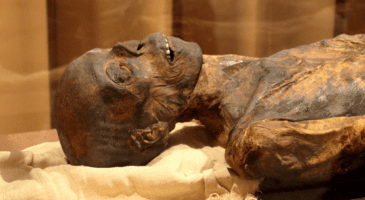 découvrez le mystère fascinant de la momie verte, une énigme ancienne qui intrigue les chercheurs et passionnés d'histoire.