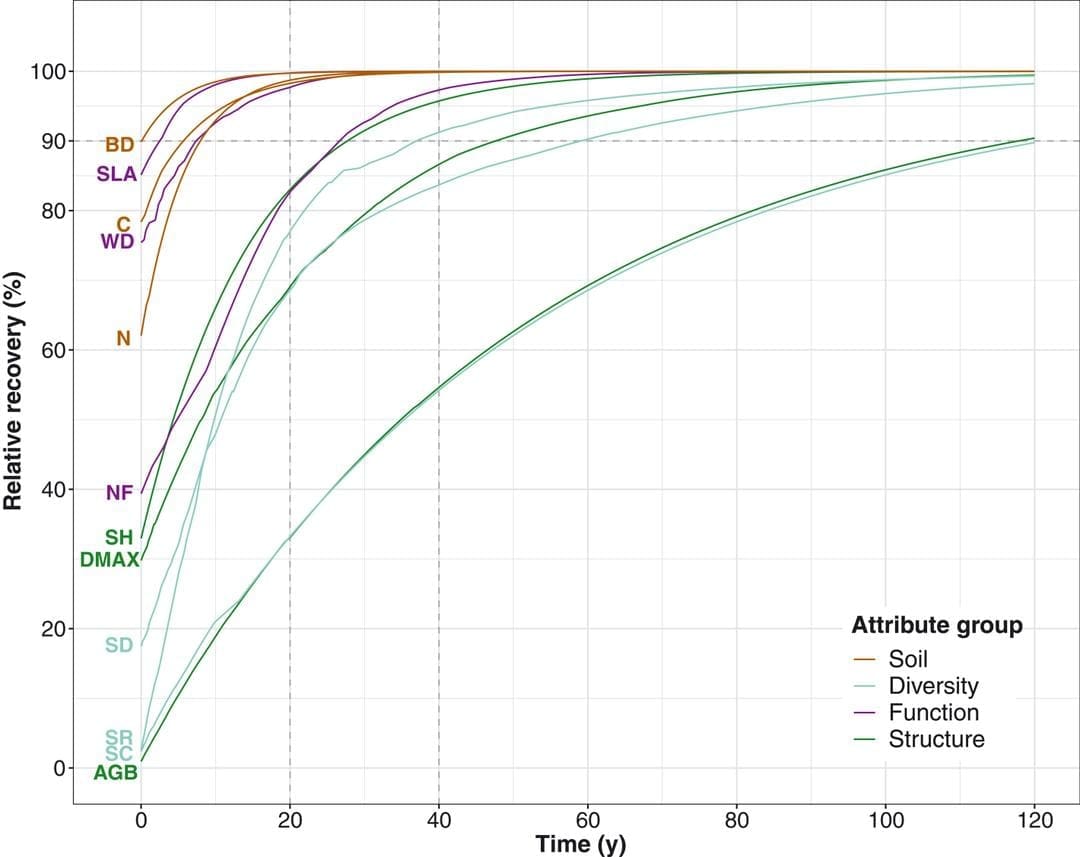 découvrez le secret révolutionnaire qui accélère la régénération des forêts tropicales, favorisant un environnement durable et la biodiversité.