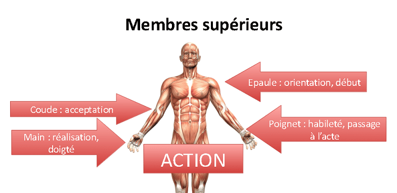 découvrez la signification des maux du corps et apprenez à comprendre les messages que votre corps vous envoie à travers ses douleurs et symptômes.