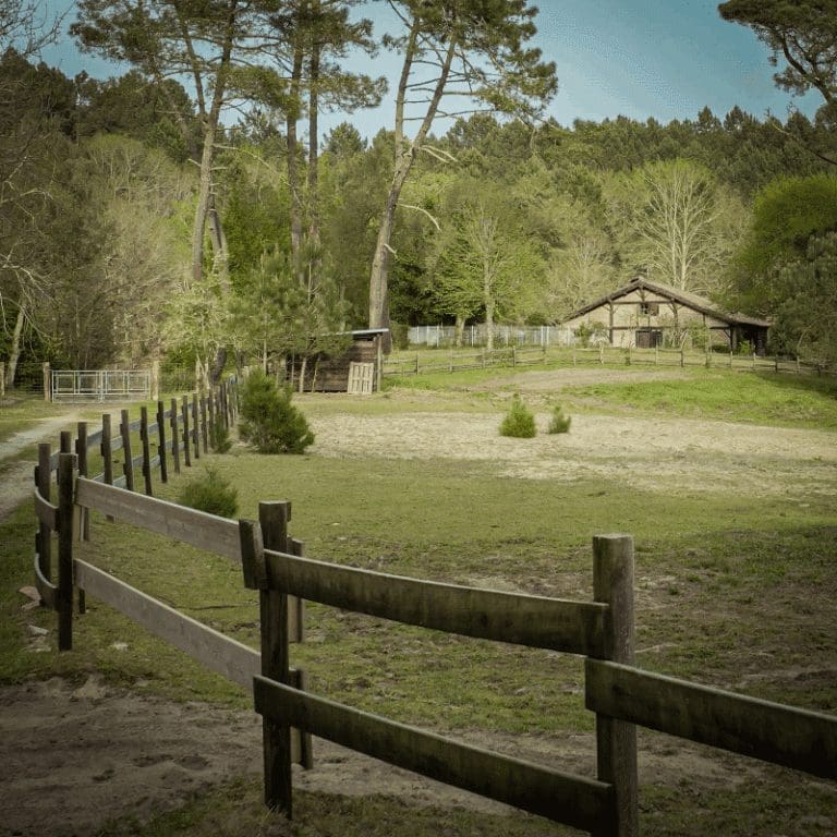 découvrez une maison à vendre à mitterrand, un havre secret alliant calme et charme. idéal pour une vie paisible et confortable.
