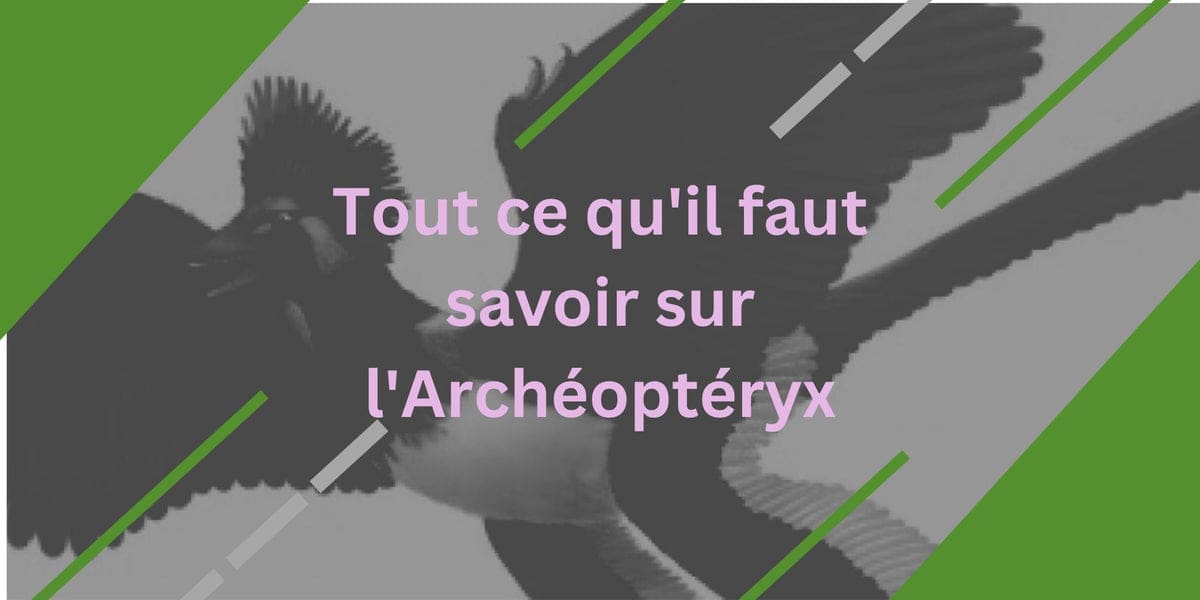 découvrez la révélation surprenante des dents charnues de l'archéoptéryx, un fossile emblématique qui éclaire l'évolution des oiseaux.