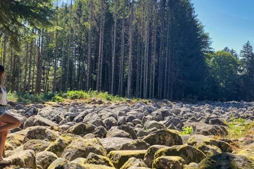 découvrez un héritage unique au cœur des vosges, mêlant histoire, nature et traditions authentiques pour une expérience inoubliable.