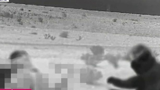 découvrez les révélations sur l'infiltration mondiale des caméras par les services secrets israéliens et leurs implications pour la sécurité internationale.