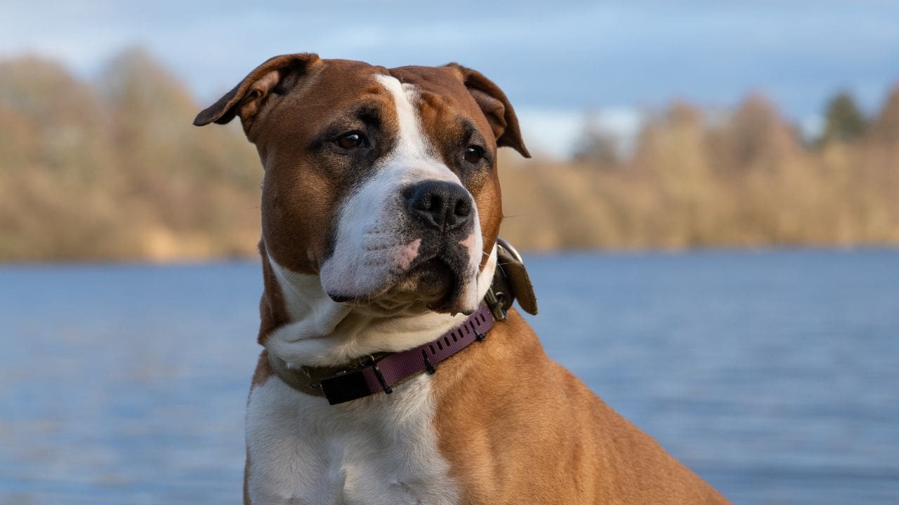 la mère d'elisa pilarski brise le silence et partage son témoignage poignant sur cette affaire tragique.