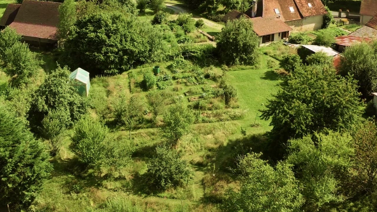 découvrez comment organiser vos plantations au jardin pour un espace harmonieux et un rendement optimal toute l'année.