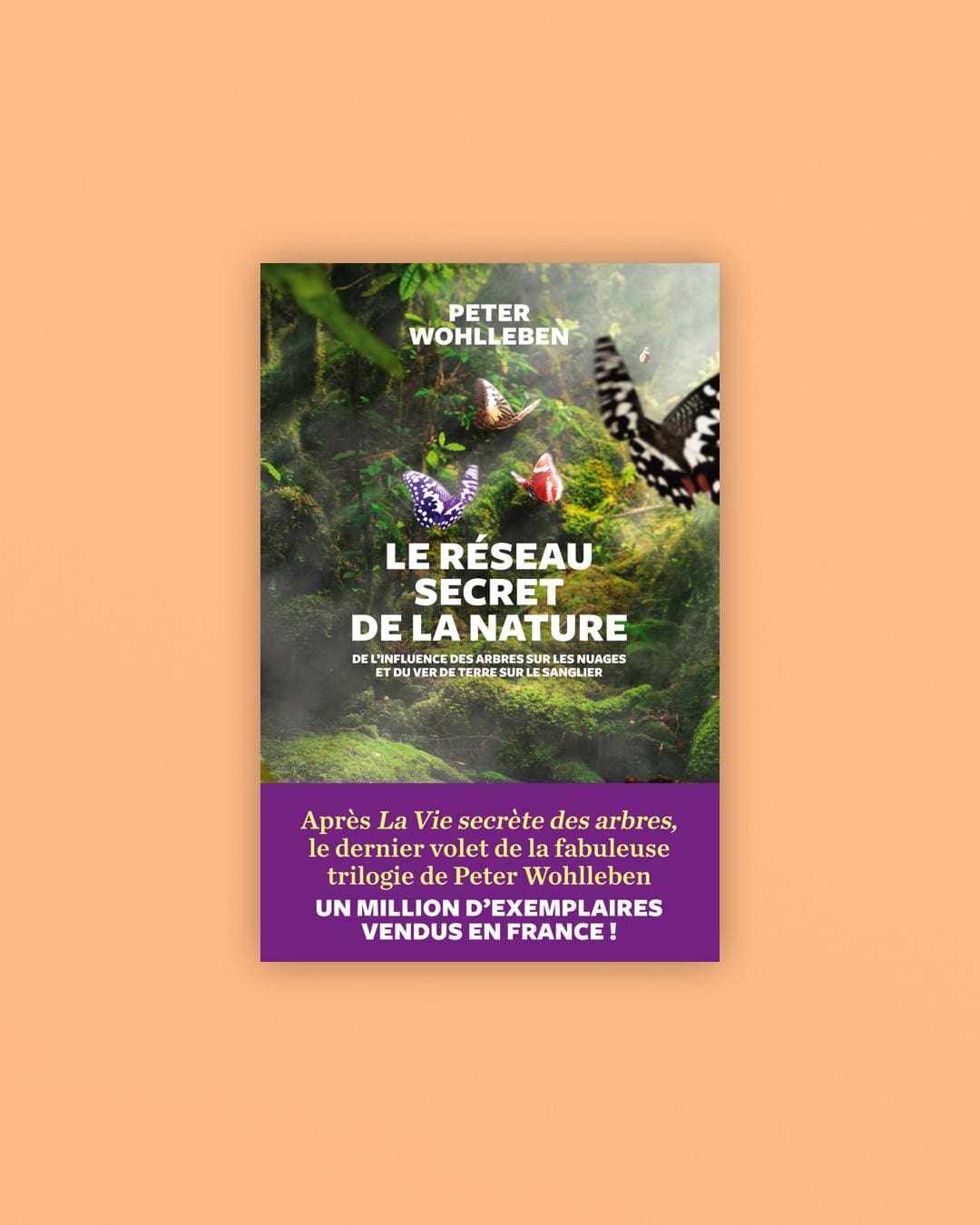 découvrez les secrets cachés qui influencent notre vie au quotidien et apprenez à les reconnaître pour mieux comprendre vos choix et comportements.