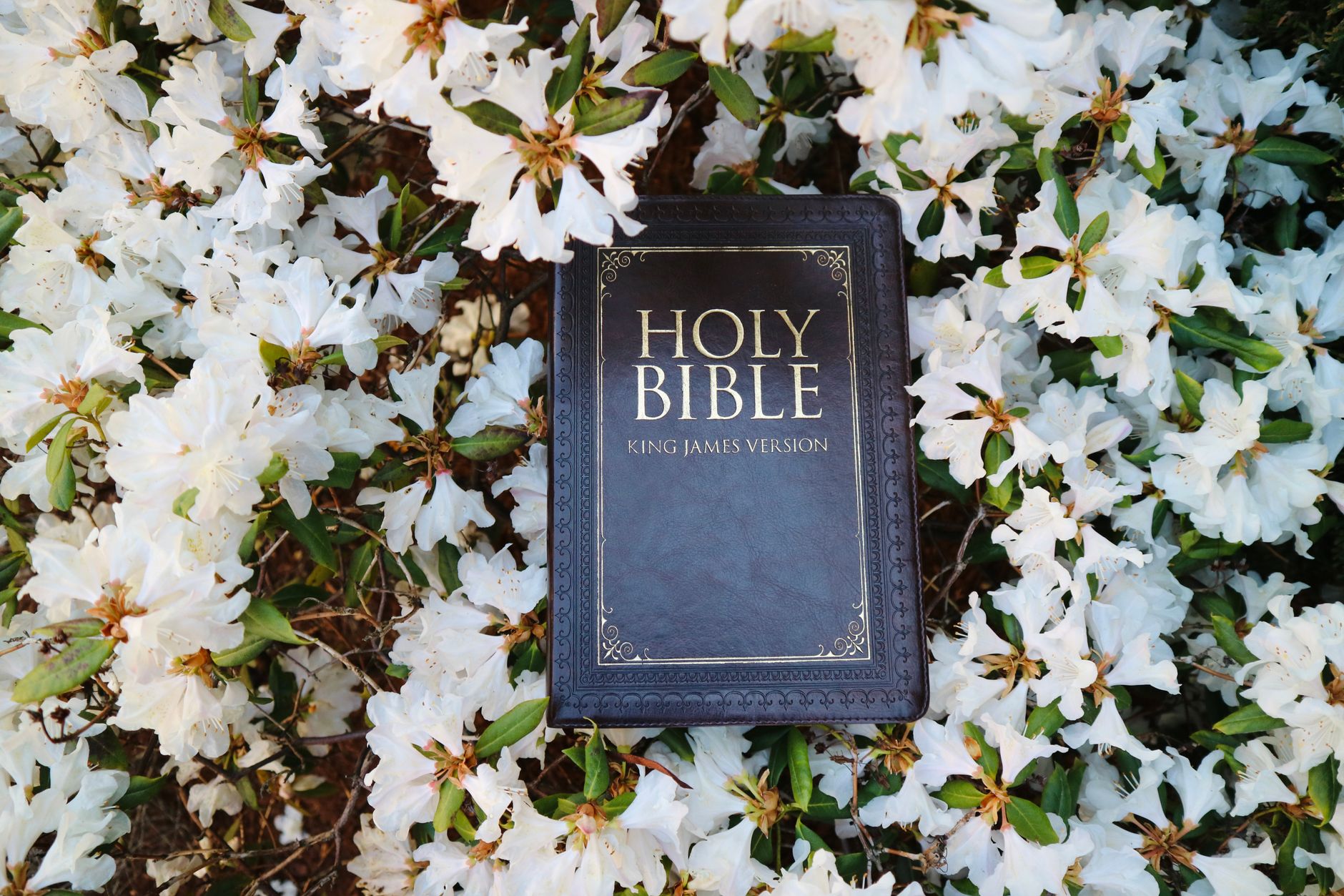 La signification de Pâques dans la Bible : entre résurrection et renouveau
